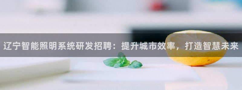 qy98千亿国际手机登录:辽宁智能照明系统研发招聘:提升城市效率,打造智慧未来