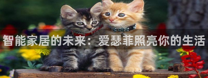 千亿国际手机版唯一官网下载:智能家居的未来:爱瑟菲照亮你的生活