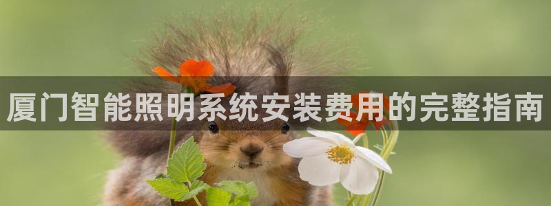 千亿国际线粒体:厦门智能照明系统安装费用的完整指南
