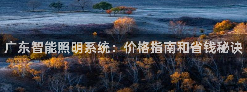千亿国际pt:广东智能照明系统:价格指南和省钱秘诀