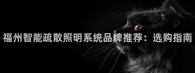 千亿国际唯一平台 - 千亿国际手机网页登录：福州智能疏散照明系统品牌推荐：选购指南
