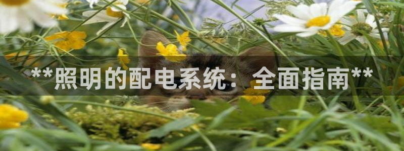 千亿国际集团怎么样可靠吗:**照明的配电系统:全面指南**