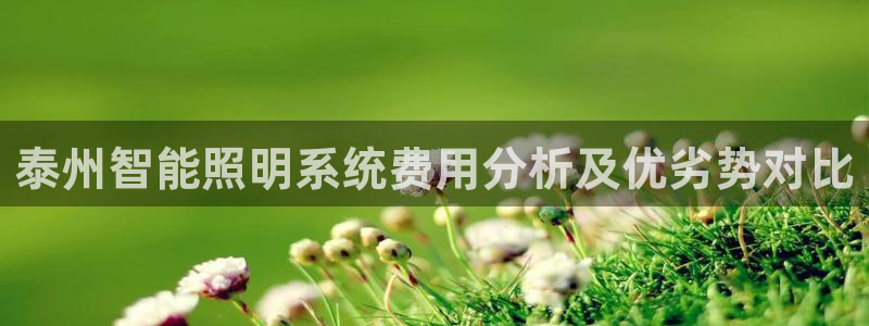 千亿国际游戏登录平台：泰州智能照明系统费用分析及优劣势对比