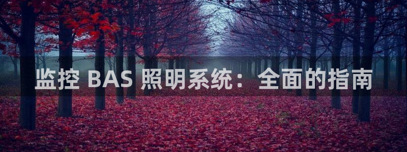 千亿国际2021官方网站baoli5.10:监控 BAS 照明系统:全面的指南