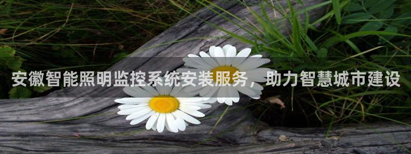 千亿国际qy18vip:安徽智能照明监控系统安装服务,助力智慧城市建设