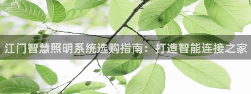 千亿国际唯一：江门智慧照明系统选购指南：打造智能连接之家