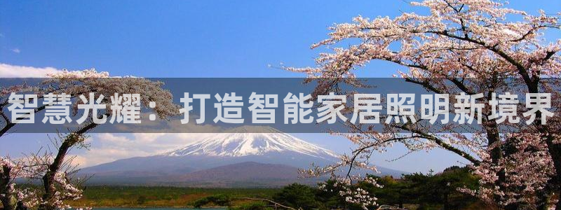 千亿国际手机官网下载:智慧光耀:打造智能家居照明新境界