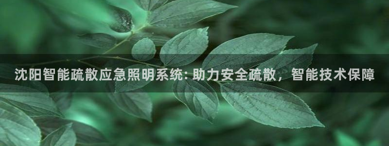 千亿国际平台：沈阳智能疏散应急照明系统: 助力安全疏散，智能技术保障