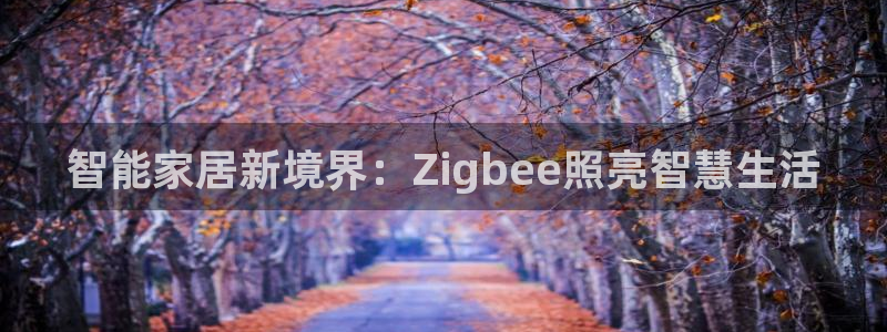千亿国际官网：智能家居新境界：Zigbee照亮智慧生活