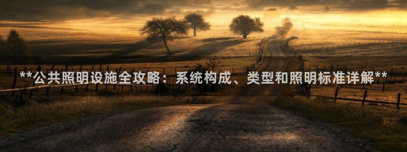 千亿国际平台怎么样:**公共照明设施全攻略:系统构成、类型和照明标准详解**