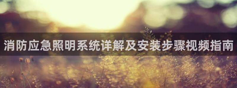 千亿国际龙8：消防应急照明系统详解及安装步骤视频指南