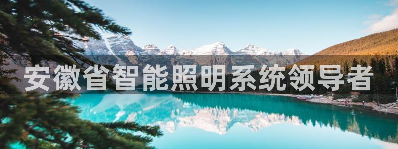 qy98千亿国际玩不了了：安徽省智能照明系统领导者