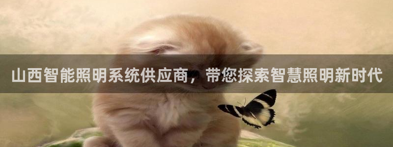 千亿国际手机登录版下载:山西智能照明系统供应商,带您探索智慧照明新时代