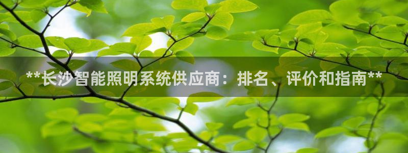 千亿国际怎么下载啊：**长沙智能照明系统供应商：排名、评价和指南**