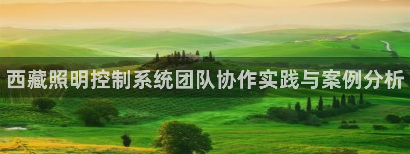 千亿国际平台是真是假呀:西藏照明控制系统团队协作实践与案例分析