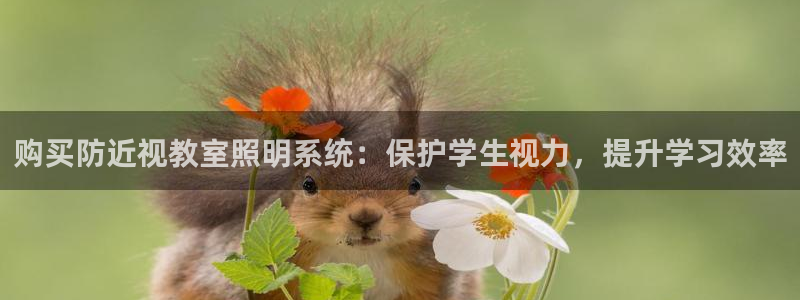 千亿国际在线网页:购买防近视教室照明系统:保护学生视力,提升学习效率