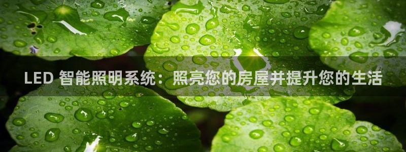 千亿国际官方网站入口：LED 智能照明系