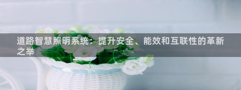 qy866千亿国际:道路智慧照明系统:提升安全、能效和互联性的革新
之举