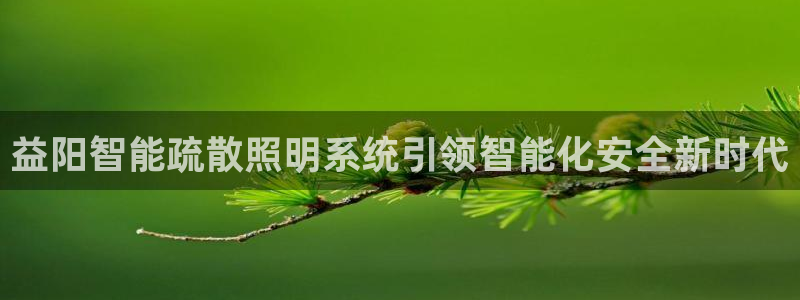 千亿国际的游戏怎么样知乎:益阳智能疏散照明系统引领智能化安全新时代