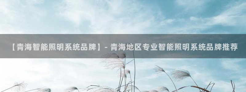 千亿国际手机版下载:【青海智能照明系统品牌】- 青海地区专业智能照明系统品牌推荐