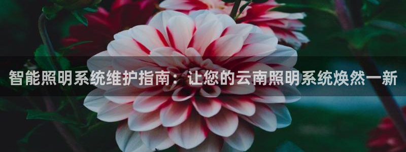 千亿国际集团怎么样知乎:智能照明系统维护指南:让您的云南照明系统焕然一新