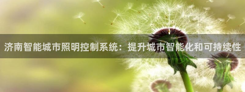 千亿国际唯一官方网站登录：济南智能城市照明控制系统：提升城市智能化和可持续性