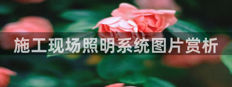 千亿国际平台免登录版：施工现场照明系统图片赏析