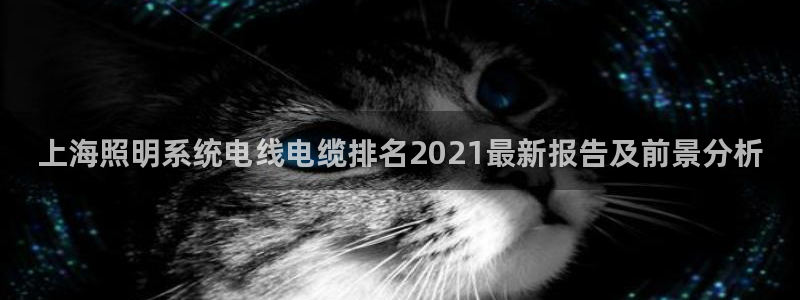 千亿国际手机版下载:上海照明系统电线电缆排名2021最新报告及前景分析