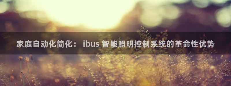 千亿国际休育:家庭自动化简化: ibus 智能照明控制系统的革命性优势