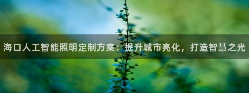 千亿国际首页登录网址:海口人工智能照明定制方案:提升城市亮化,打造智慧之光
