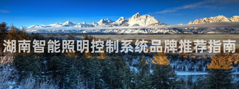 qy98千亿国际手机登录:湖南智能照明控制系统品牌推荐指南