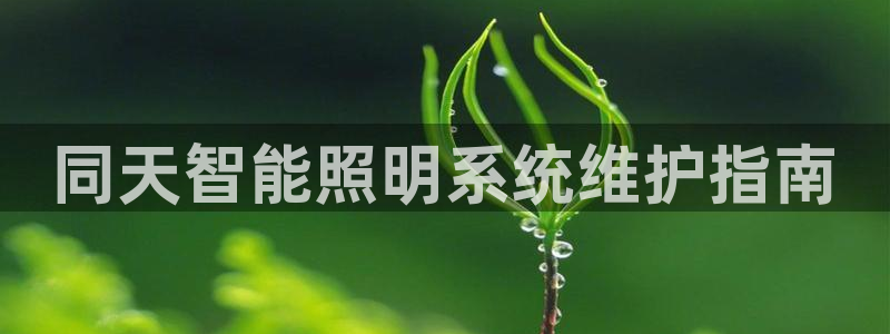 千亿国际q y 996:同天智能照明系统维护指南