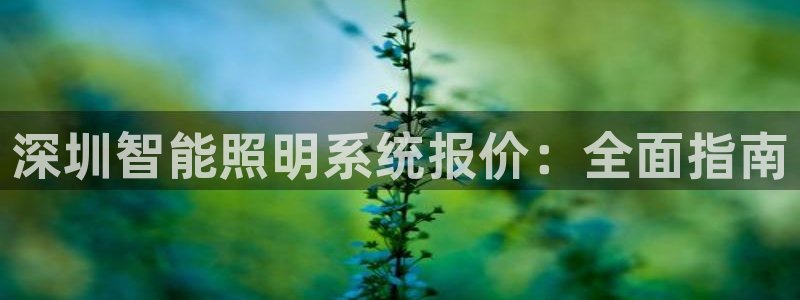 千亿国际芯片上市公司：深圳智能照明系统报价：全面指南