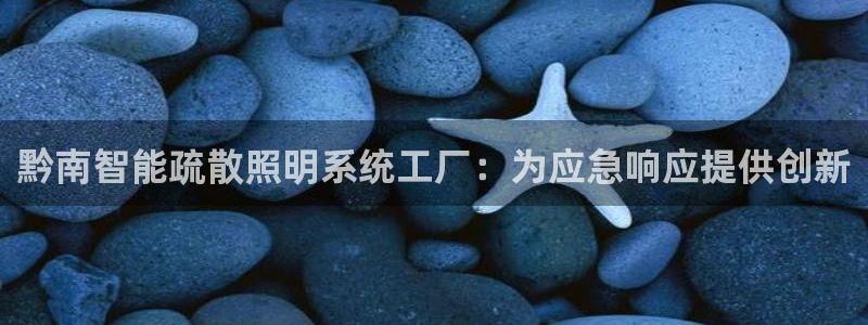千亿国际网页版:黔南智能疏散照明系统工厂:为应急响应提供创新