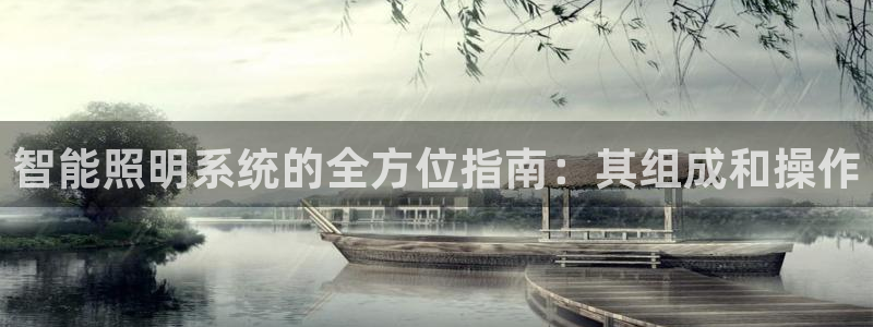 千亿国际网页版app:智能照明系统的全方位指南:其组成和操作