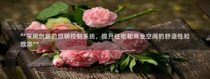 千亿国际登录网页：**采用创新的照明控制系统，提升住宅和商业空间的舒适性和
效率**