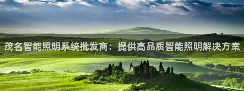 千亿国际官网:茂名智能照明系统批发商:提供高品质智能照明解决方案