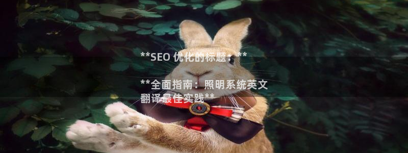千亿国际的游戏怎么样赚钱：**SEO 优化的标题：**

**全面指南：照明系统英文
翻译最佳实践**