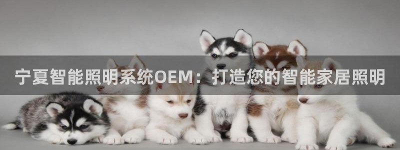 千亿国际集团怎么样啊:宁夏智能照明系统OEM:打造您的智能家居照明