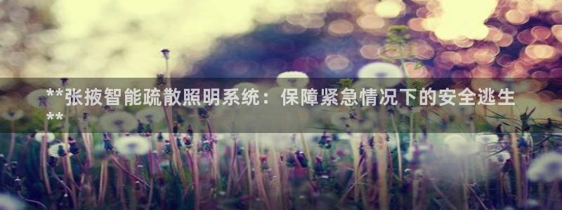 千亿国际跟盛辉是一家的吗是真的吗：**张