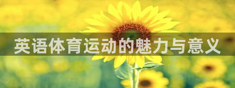 必一运动体育官网