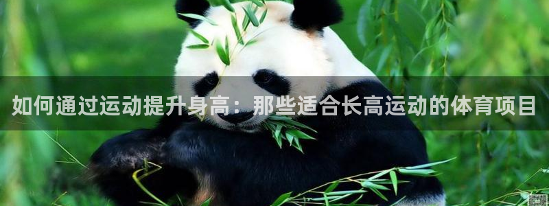 必一运动app