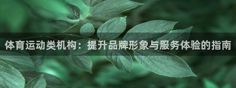 必一运动体育官网