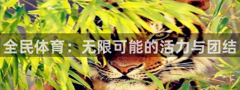 bsport必一运动