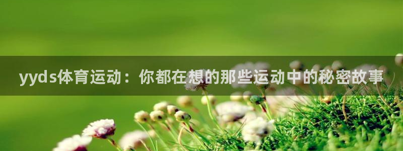 bsports官网 必一运动