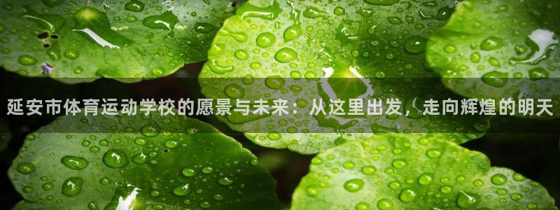 bsports必一运动
