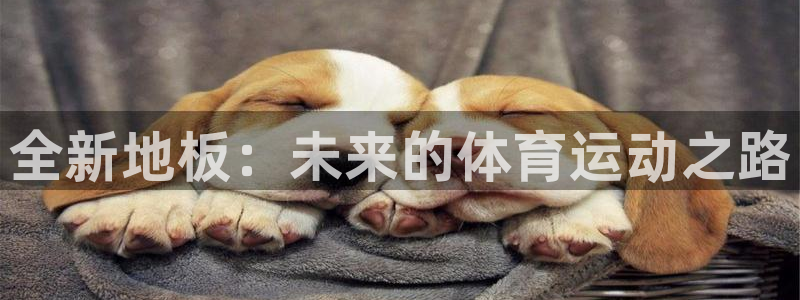 必一运动app