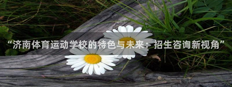 必一运动体育官网