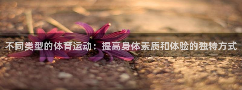 必一运动bsport体育