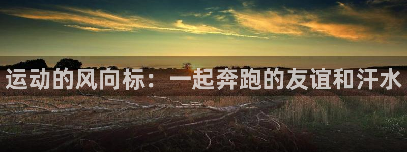 必一运动